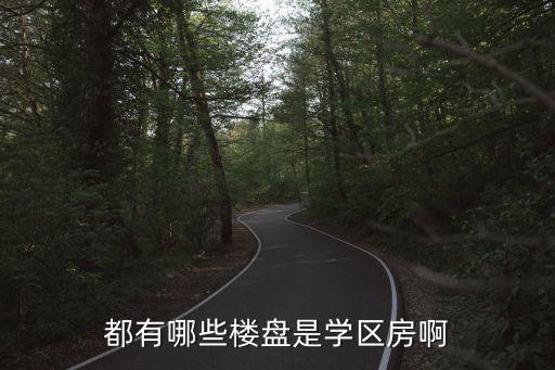 都有哪些楼盘是学区房啊