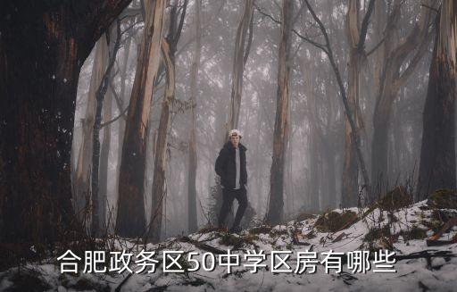 合肥五十中学区房哪个小区好，合肥市50中新区学区房有哪些湖畔春天是吗
