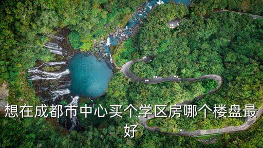 想在成都市中心买个学区房哪个楼盘最好