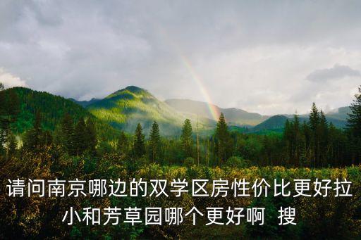 请问南京哪边的双学区房性价比更好拉小和芳草园哪个更好啊  搜