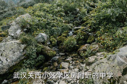 武汉七中的学区房有哪些，远洋海世纪海悦公馆是七中学区房吗