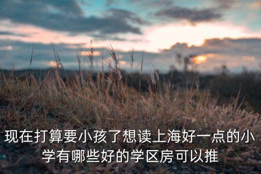 现在打算要小孩了想读上海好一点的小学有哪些好的学区房可以推