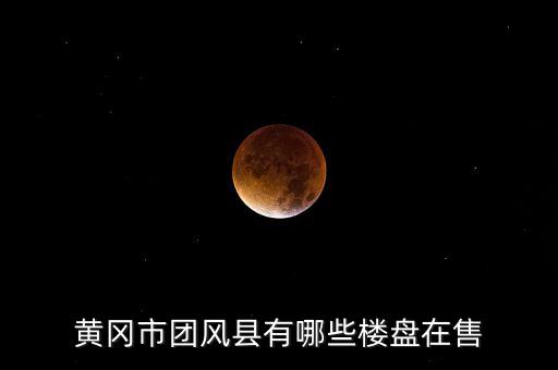 团风县有哪些学区房，黄冈市团风县现在有哪些楼盘在出售楼盘情况怎么样