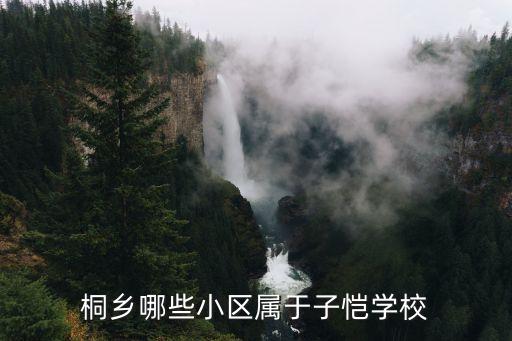 桐乡哪些小区属于子恺学校