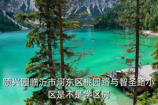 颐兴园临沂市河东区桃园路与智圣路小区是不是学区房