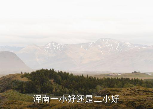 浑南一小好还是二小好