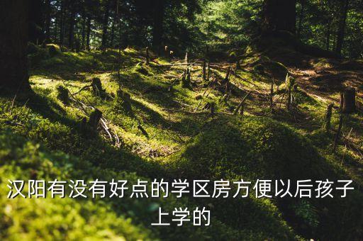 汉阳有没有好点的学区房方便以后孩子上学的