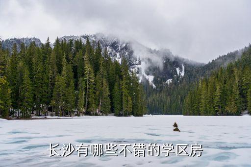 长沙有哪些不错的学区房