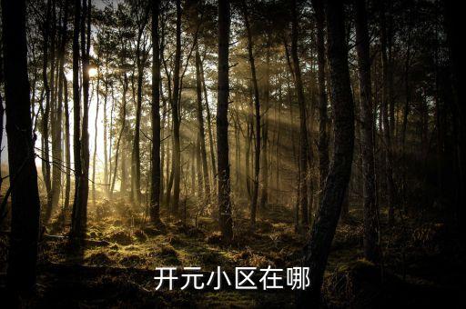 哈密开元小区是哪个学区房，开元名都学区到底是哪里