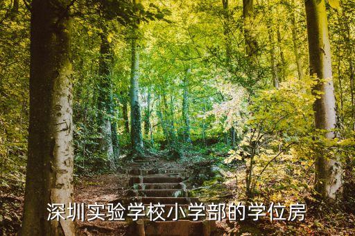 深圳实验学校小学部的学位房