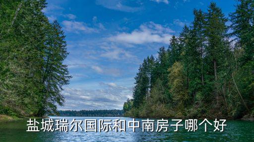盐城瑞尔国际和中南房子哪个好