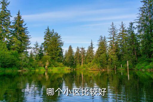 哪个小区比较好
