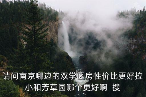 请问南京哪边的双学区房性价比更好拉小和芳草园哪个更好啊  搜