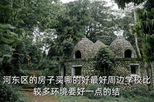 河东区的房子买哪的好最好周边学校比较多环境要好一点的结