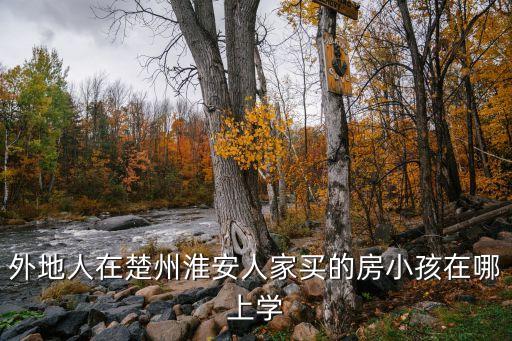 淮安哪些是双学区房，请教大家淮安哪里的小学不错啊有好点的学区房啊