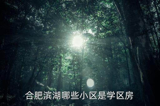 合肥滨湖哪些小区是学区房