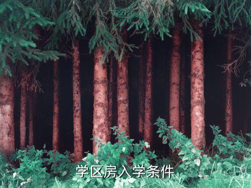 上小学学区房的条件有哪些，小学学区在户口上需具备哪儿条件和年限谢谢
