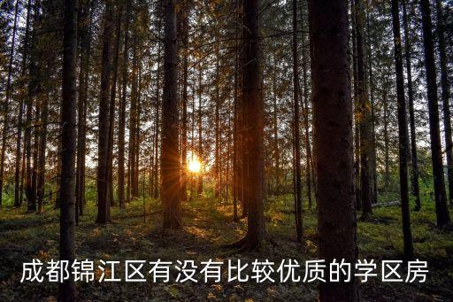 成都锦江区有没有比较优质的学区房