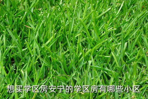 想买学区房安宁的学区房有哪些小区