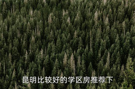 昆明比较好的学区房推荐下