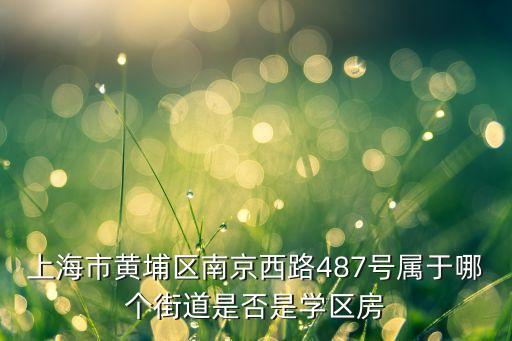 上海市黄埔区南京西路487号属于哪个街道是否是学区房