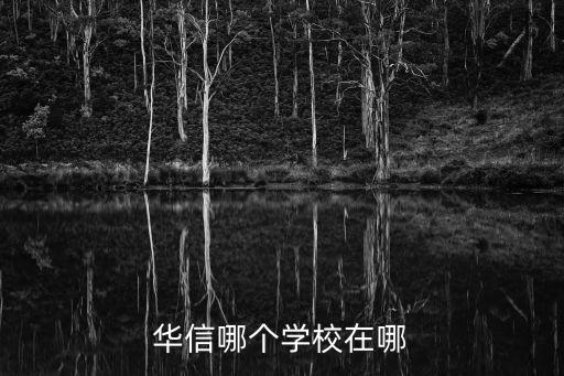 华信哪个学校在哪