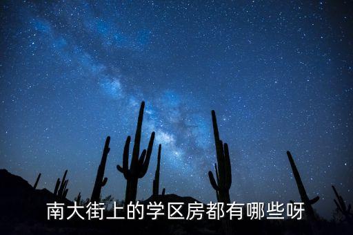 南大街上的学区房都有哪些呀