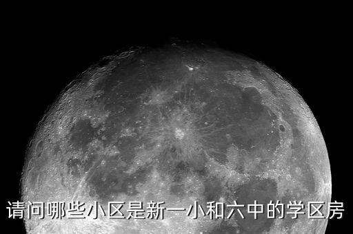 请问哪些小区是新一小和六中的学区房