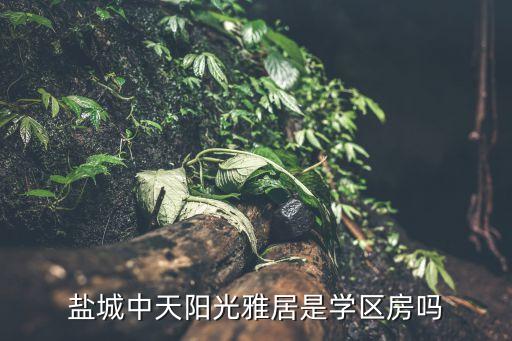盐城中天阳光雅居是学区房吗