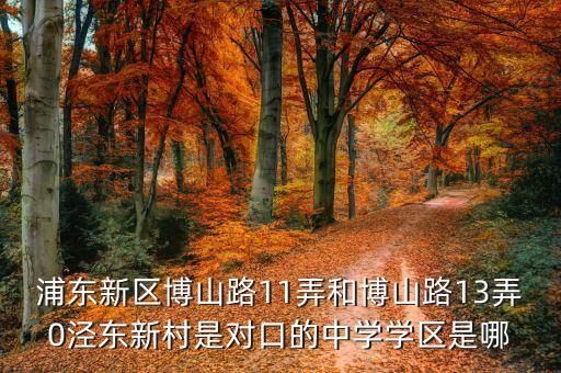 浦东新区博山路11弄和博山路13弄0泾东新村是对口的中学学区是哪