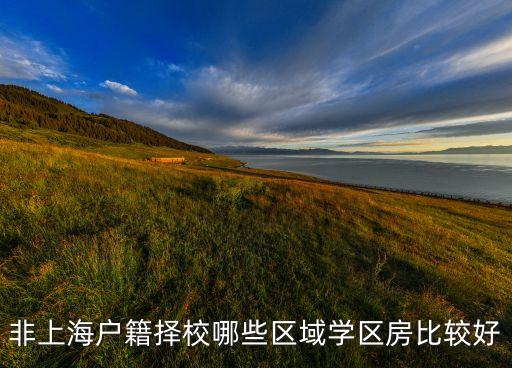 非上海户籍择校哪些区域学区房比较好