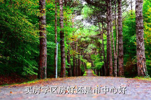 学区房和父母买房哪个好，买房学区房好还是市中心好