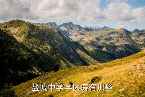 盐城中学学区房有那些
