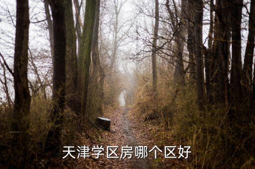天津学区房哪个区好