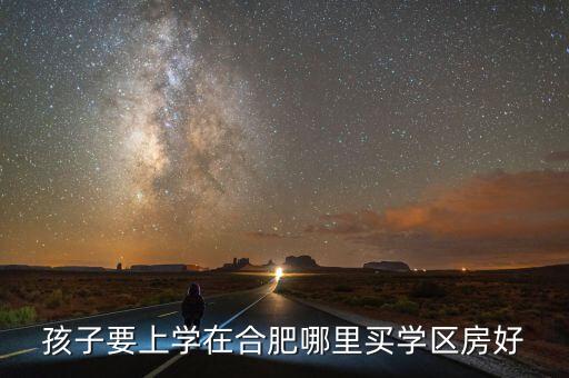 孩子要上学在合肥哪里买学区房好