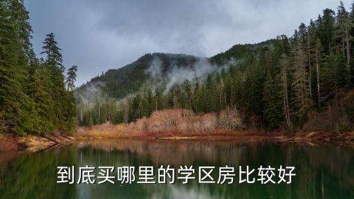 到底买哪里的学区房比较好