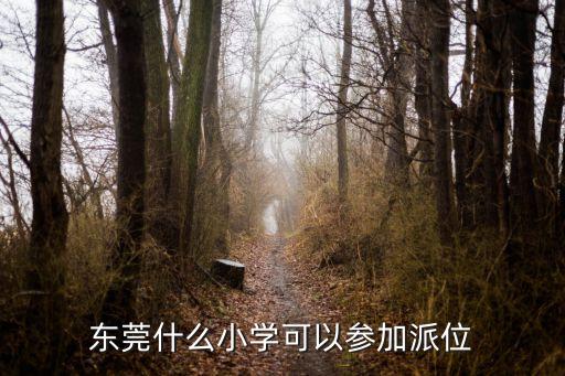东莞城区哪些是学区房，东莞金月湾花园属于哪个小学的学区