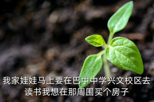 兴文小学学区房有哪些，我家娃娃马上要在巴中中学兴文校区去读书我想在那周围买个房子