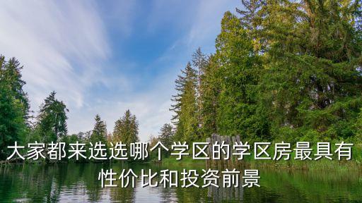 大家都来选选哪个学区的学区房最具有性价比和投资前景