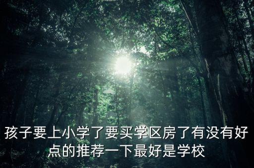 孩子要上小学了要买学区房了有没有好点的推荐一下最好是学校