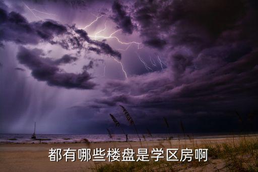 都有哪些楼盘是学区房啊