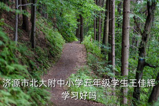 济源市北大附中小学五年级学生王佳辉学习好吗