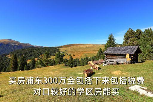 买房浦东300万全包括下来包括税费对口较好的学区房能买