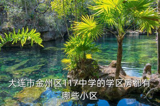 大连市金州区117中学的学区房都有哪些小区