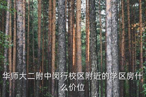 华师大二附中闵行校区附近的学区房什么价位