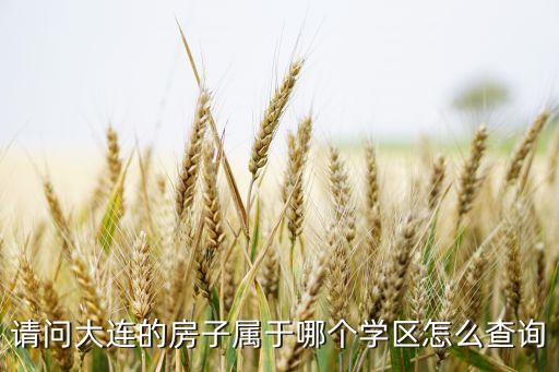 请问大连的房子属于哪个学区怎么查询