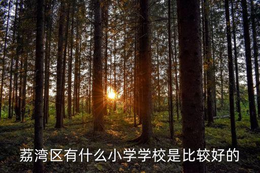 荔湾区有什么小学学校是比较好的