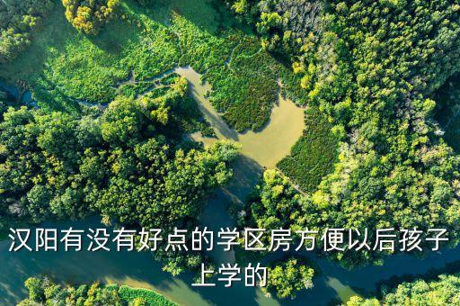汉阳有没有好点的学区房方便以后孩子上学的