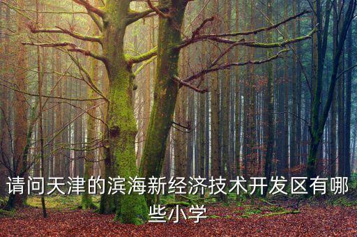 潍坊滨海学区房都有哪些，请问天津的滨海新经济技术开发区有哪些小学