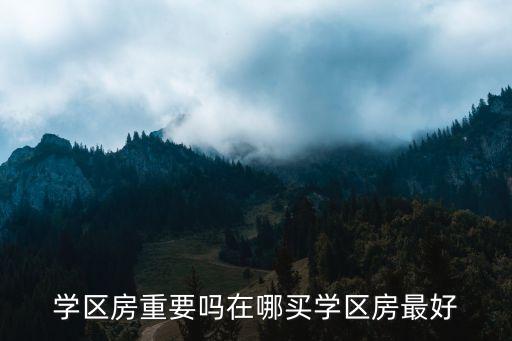学区房重要吗在哪买学区房最好